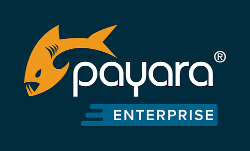 Payara enterprise logo